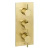 JTP Vos Brushed Brass Triple Outlet Thermostatic Concealed Shower Valve Vertical -Triton Sales Store 23690abbr l