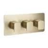 JTP Hix Brushed Brass Twin Outlet Thermostatic Concealed Shower Valve Horizontal -Triton Sales Store 33693bbr l
