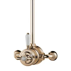 Aqualisa - Aquatique Thermo Exposed Thermostatic Valve With 8" Drencher Head & Riser Rail - Gold -Triton Sales Store 500.10.04551.04 d1
