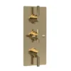 Hudson Reed Tec Pura Plus Triple Concealed Thermostatic Shower Valve - Brushed Brass -Triton Sales Store a8003l