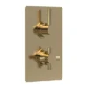 Hudson Reed Tec Pura Twin Concealed Thermostatic Shower Valve - Brushed Brass 1 Hudson Reed Tec Pura Twin Concealed Thermostatic Shower Valve - Brushed Brass -Triton Sales Store a8003vl