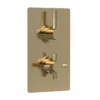 Hudson Reed Tec Pura Concealed Twin Shower Valve With Built-in Diverter - Brushed Brass -Triton Sales Store a8007l