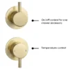 Arezzo Brushed Brass Concealed Individual Stop Tap + Thermostatic Control Valve With Wall Mounted Shower Head 2 Arezzo Brushed Brass Concealed Individual Stop Tap + Thermostatic Control Valve With Wall Mounted Shower Head -Triton Sales Store arzbisvpk3 d7