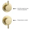 Arezzo Brushed Brass Concealed Individual Diverter + Thermostatic Control Valve With Handset + Wall Mounted Shower Head 2 Arezzo Brushed Brass Concealed Individual Diverter + Thermostatic Control Valve With Handset + Wall Mounted Shower Head -Triton Sales Store arzbisvpk4nd6