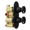 Arezzo Matt Black Industrial Style Round Modern Twin Concealed Shower Valve -Triton Sales Store azmbiv1d4