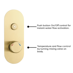 Arezzo Brushed Brass Industrial Style Push Button Shower Valve (1 Outlet) -Triton Sales Store azpb01rbb d1n