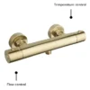 Arezzo Brushed Brass Round Thermostatic Bar Shower Valve -Triton Sales Store azrdbbnd4