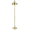 Crosswater Belgravia Unlacquered Brass Thermostatic Shower Valve With 8" Fixed Head -Triton Sales Store bel showerq d1