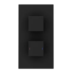 Arezzo Square Modern Twin Concealed Shower Valve With Diverter - Matt Black