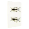 Bristan - 1901 Thermostatic Recessed Dual Control Shower Valve - Gold
