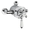 Old London - Chrome Traditional Dual Exposed Valve 1 Old London - Chrome Traditional Dual Exposed Valve -Triton Sales Store oldlondonchrometraditionaldualexposedvalveldnv14nl