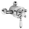 Nuie Traditional Dual Exposed Thermostatic Shower Valve + Slider Rail Kit 2 Nuie Traditional Dual Exposed Thermostatic Shower Valve + Slider Rail Kit -Triton Sales Store premiertraditionaldualexposedthermostaticshowervalvewithsliderrailkitdetail1