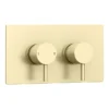 Arezzo Brushed Brass Twin Concealed Shower Valve Inc. 300mm Head + Ceiling Mounted Arm -Triton Sales Store rd3bbpkcm detail4