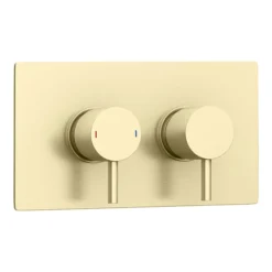 Arezzo Brushed Brass Round Thermostatic Shower Pack With Head + Handset -Triton Sales Store rd4bbpk nw d2