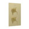 Heritage Dartmouth 2 Outlet Twin Concealed Thermostatic Shower Valve - Brushed Brass 1 Heritage Dartmouth 2 Outlet Twin Concealed Thermostatic Shower Valve - Brushed Brass -Triton Sales Store sdabb01