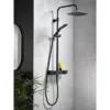 Triton Push Button Thermostatic Shower Mixer - Matte Black 2 Triton Push Button Thermostatic Shower Mixer - Matte Black -Triton Sales Store sfxpbdivblk d4