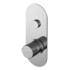 Asquiths Solitude Push Button Shower Valve (Single Outlet) 1 Asquiths Solitude Push Button Shower Valve (Single Outlet) -Triton Sales Store shb5101 l