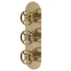 Hudson Reed Revolution Industrial Triple Concealed Thermostatic Shower Valve - Brushed Brass -Triton Sales Store siwtr803l
