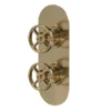 Hudson Reed Revolution Industrial Twin Concealed Thermostatic Shower Valve - Brushed Brass -Triton Sales Store siwtw801l