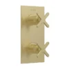 Heritage Salcombe 2 Outlet Twin Concealed Thermostatic Shower Valve - Brushed Brass -Triton Sales Store ssabb02