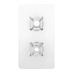 Astoria Traditional Twin Concealed Thermostatic Shower Valve -Triton Sales Store vsv71 n d1